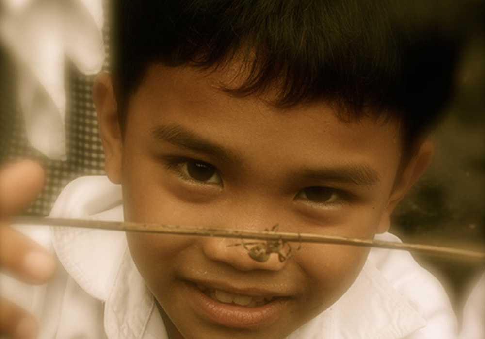 Picture